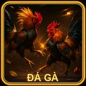 Cá cược thể thao sin888